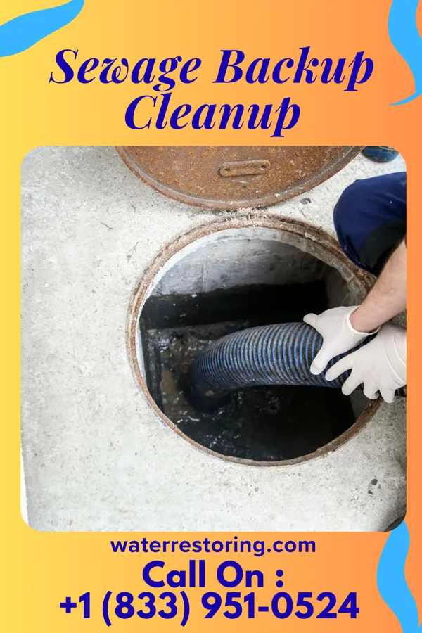 Sewage Backup Cleanup in Washington, AR